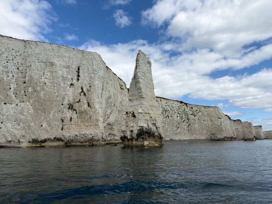 A stunning view of the iconic white cliffs at Old Harry Rocks on a sunny day.