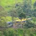 Eco-Friendly Hostels Medellín Solo Travelers: Solo Traveler’s Guide to Eco-Friendly Hostels in Medellín (2026)