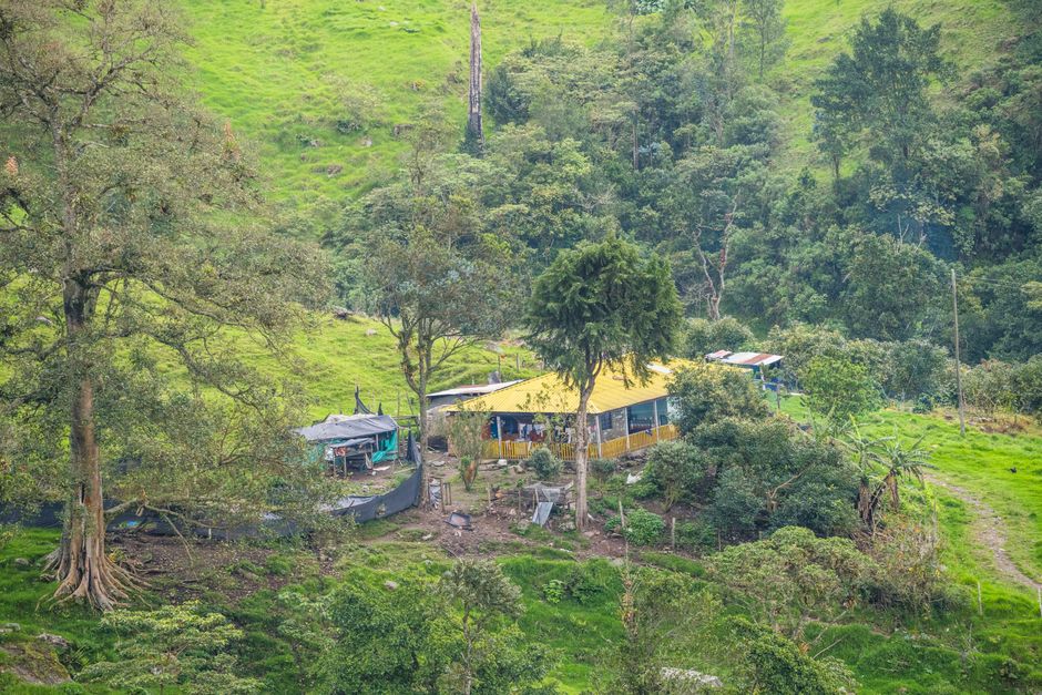 Eco-Friendly Hostels Medellín Solo Travelers: Solo Traveler’s Guide to Eco-Friendly Hostels in Medellín (2026)