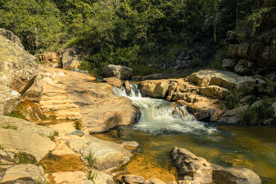 A serene creek with a small waterfall in a lush forest setting, featuring rocks and vibrant greenery.