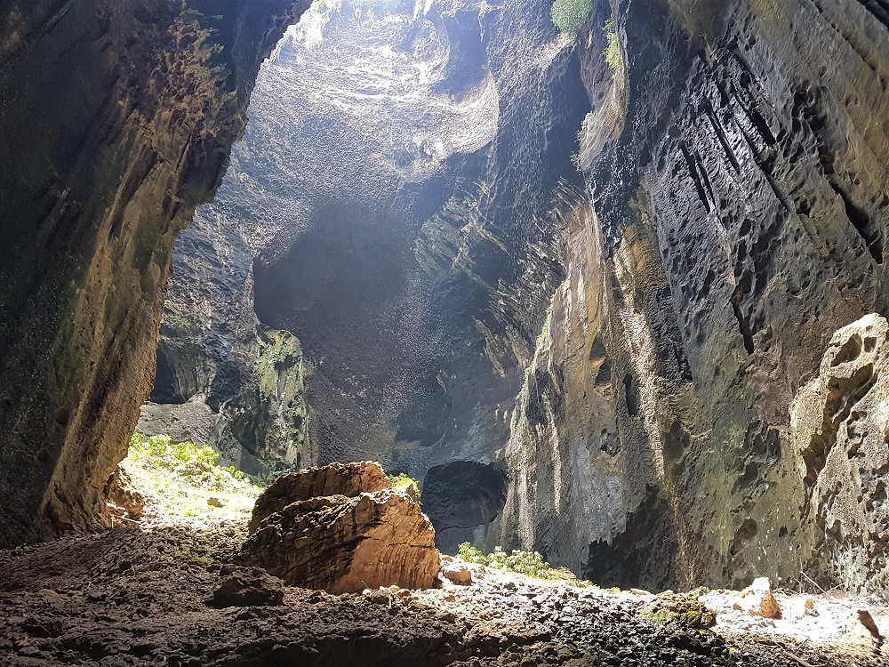 Borneo: Gomantong Caves