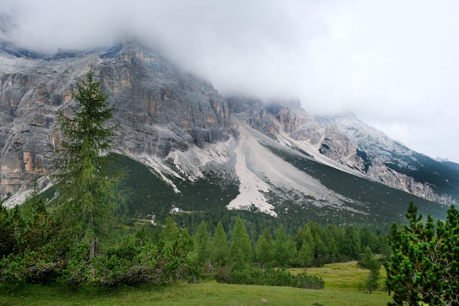 Breathtaking view of a misty mountain with lush greenery and dramatic clouds.