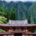 Asia Temple Mornings in June Beat the Tour Groups