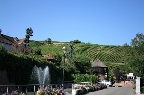 Route du Vin