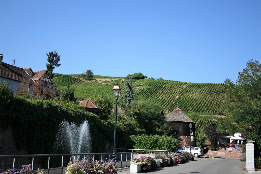 Route du Vin