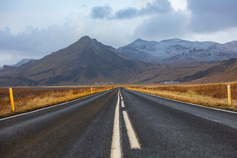 Road Trip Ideas Reddit: I Asked Reddit for Road Trip Ideas: Here’s What Actually Worked
