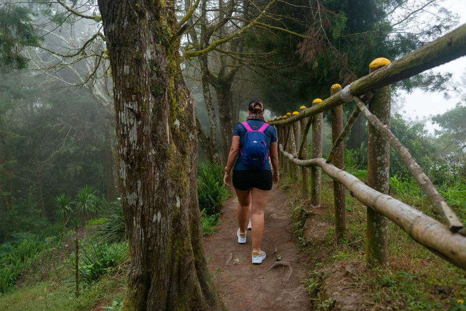 A woman with a backpack hiking on a misty forest trail surrounded by lush greenery.