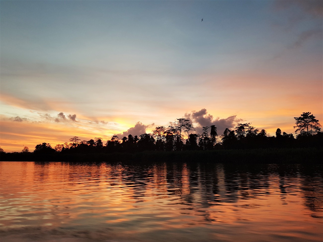 Malaysia: Borneo and the Malay Peninsula