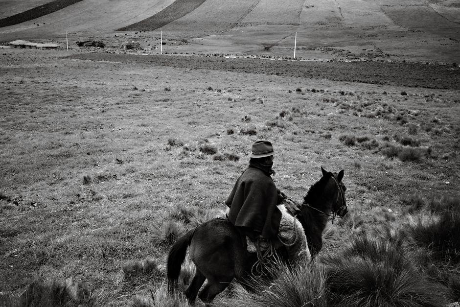 A captivating black and white scene of a horseback rider in the expansive fields of Ecuador.