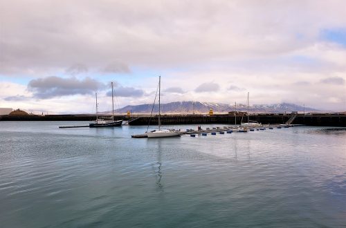 Searching for whales and the Northern Lights near Reykjavik