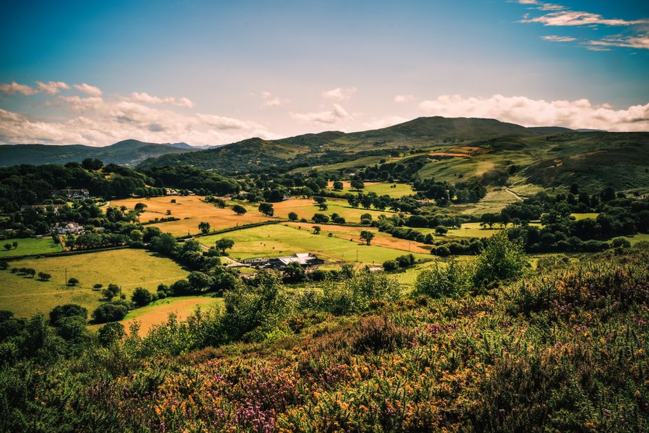 Vibrant summer landscape view of the countryside in Conwy, Wales, featuring hills and greenery.